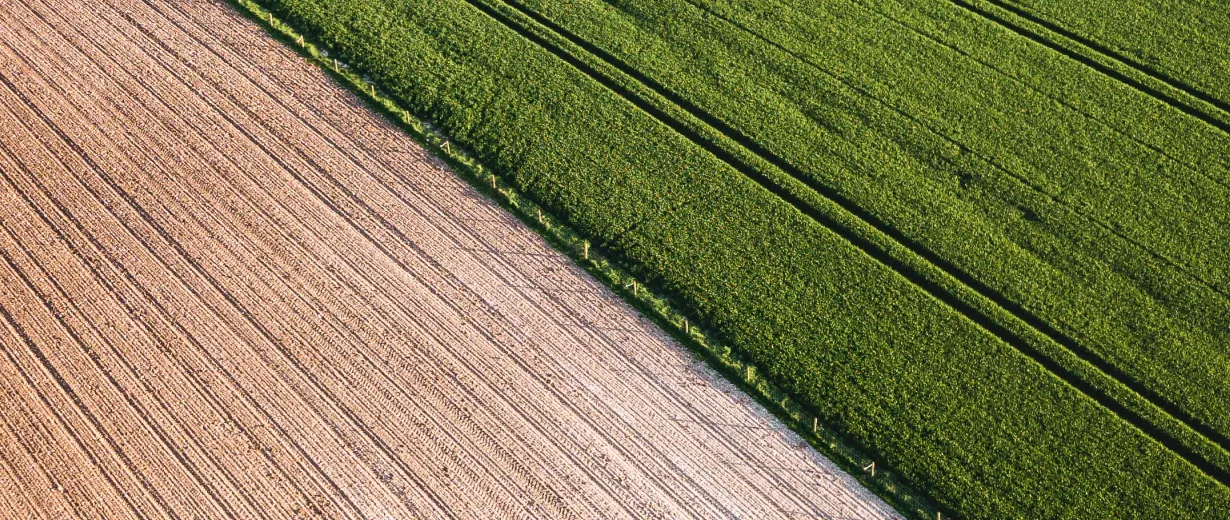 Brownfield vs. Greenfield implementation Which SAP S/4HANA migration